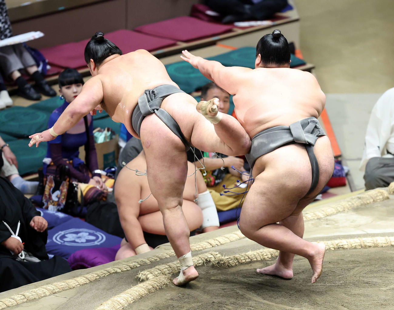 木竜皇（左）を押し出しで破る嘉陽（撮影・鈴木正人）