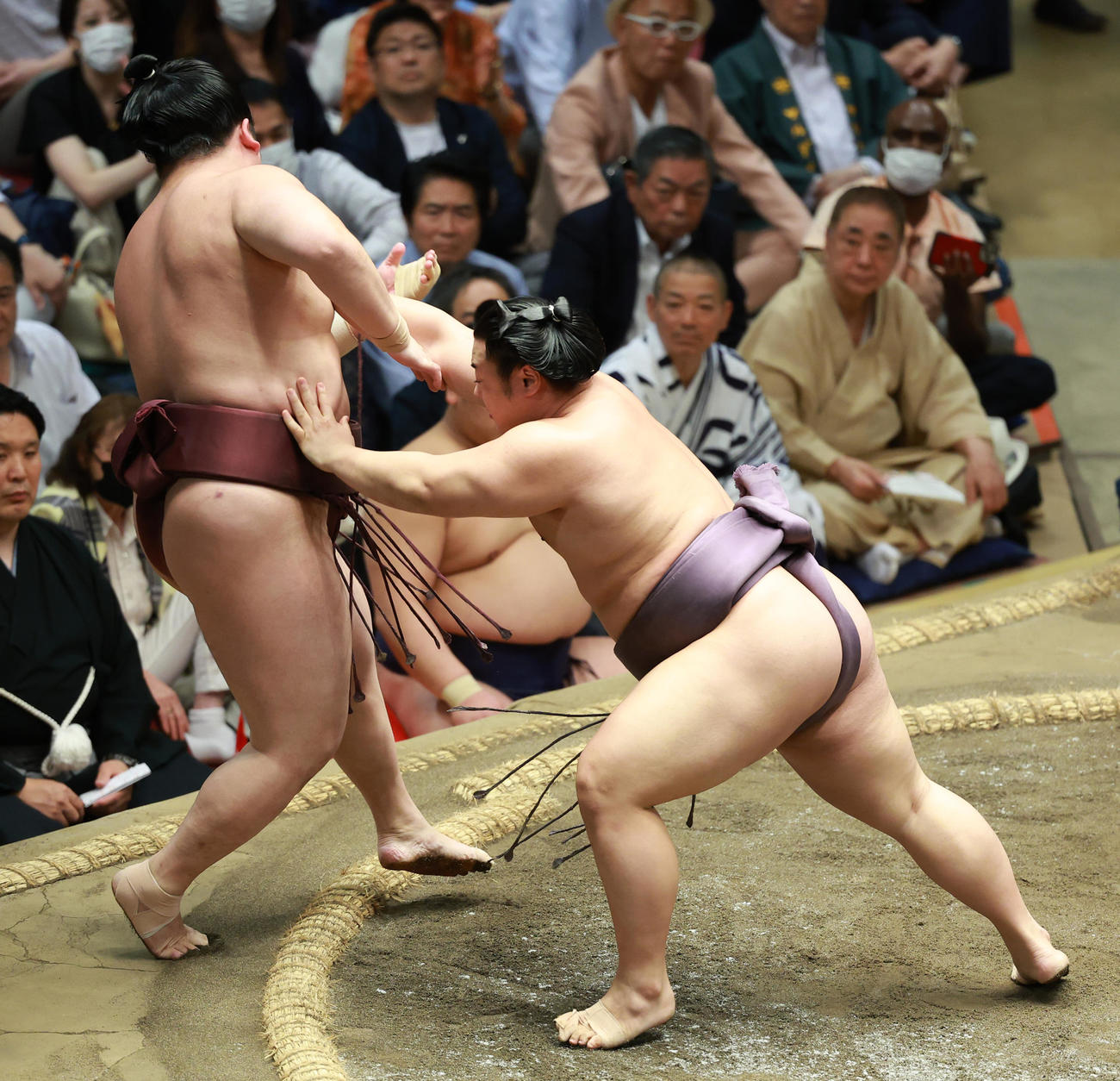 錦富士（左）を押し出しで破る翔猿。観戦する三遊亭好楽の姿も（後列右）（撮影・中島郁夫）