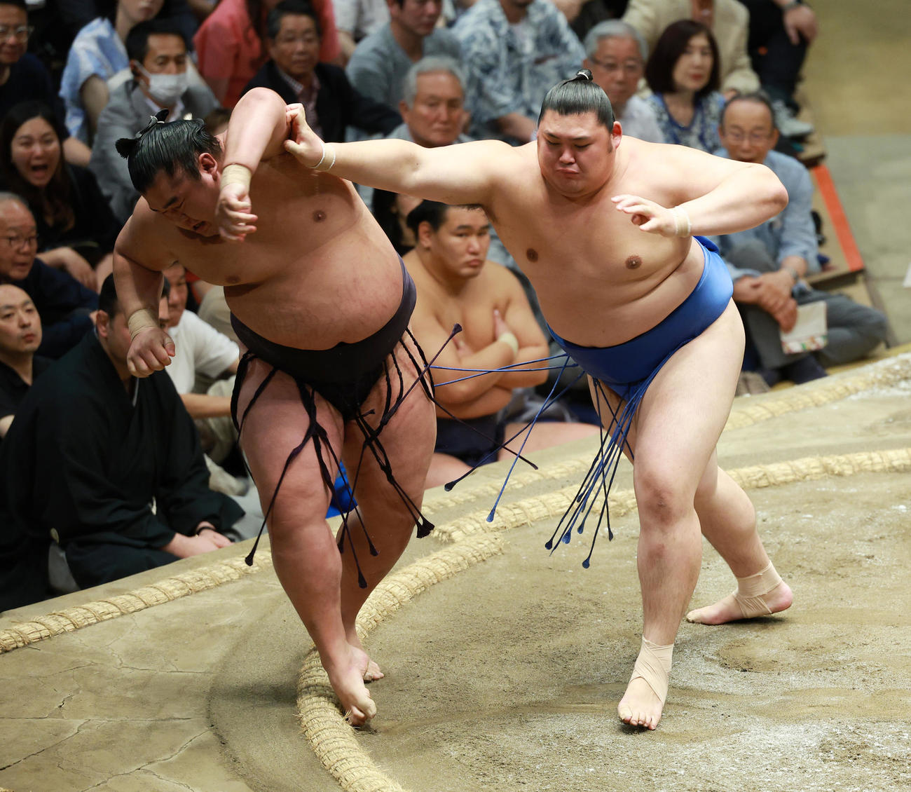 湘南乃海（左）を押し出しで破る大の里（撮影・中島郁夫）