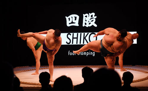 外国人観光客ターゲットの「SUMOショー」相撲特化エンタメ施設誕生