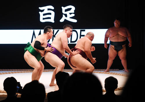 外国人観光客ターゲットの「SUMOショー」相撲特化エンタメ施設誕生
