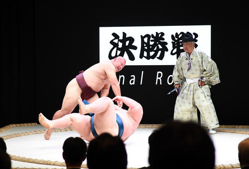 外国人観光客ターゲットの「SUMOショー」相撲特化エンタメ施設誕生