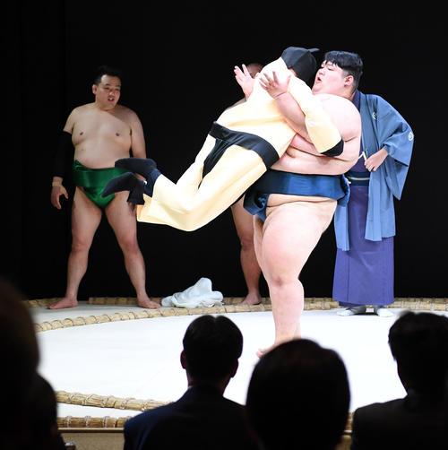 外国人観光客ターゲットの「SUMOショー」相撲特化エンタメ施設誕生