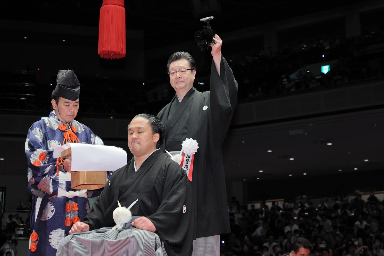 元石浦の間垣親方（手前）の大銀杏にはさみを入れる伊勢ケ浜親方（代表撮影）