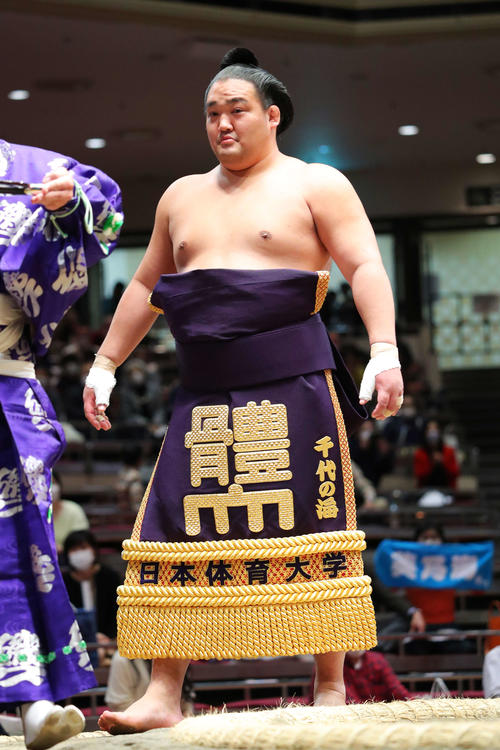 千代の海が引退、今後は体育教員の道へ 来年2月2日に断髪式／一問一