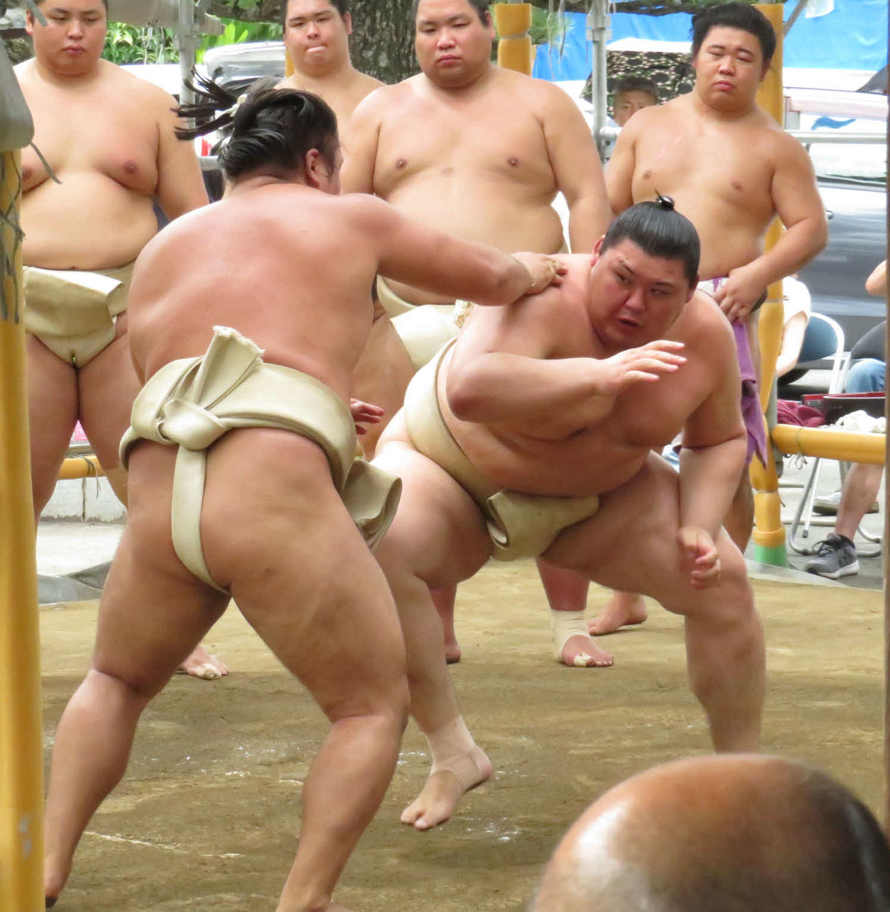 佐渡ケ嶽部屋に出稽古した大の里（手前右）は、霧島（同左）と稽古を重ねた