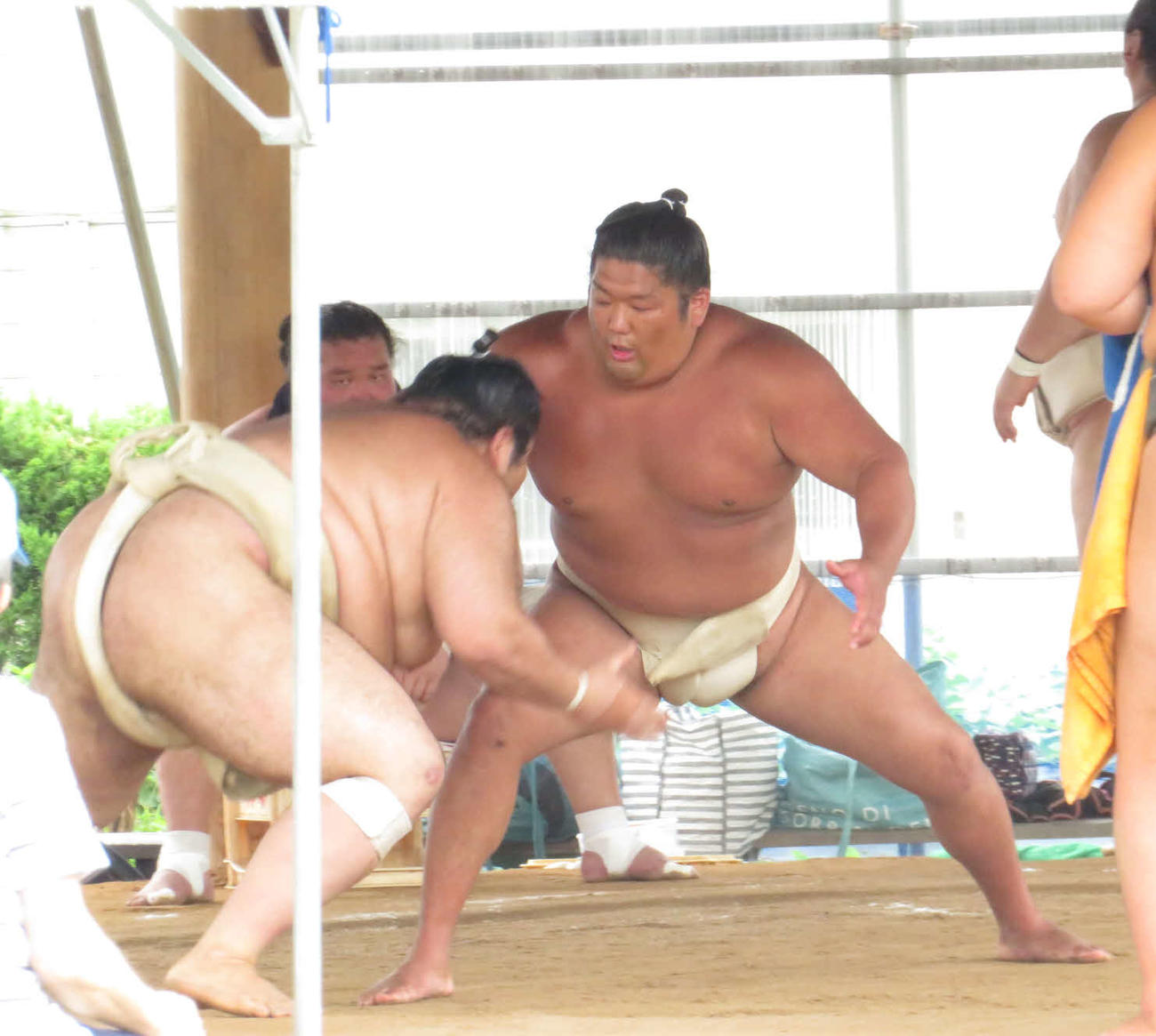 ぶつかり稽古で熱海富士（左）に胸を出す尊富士