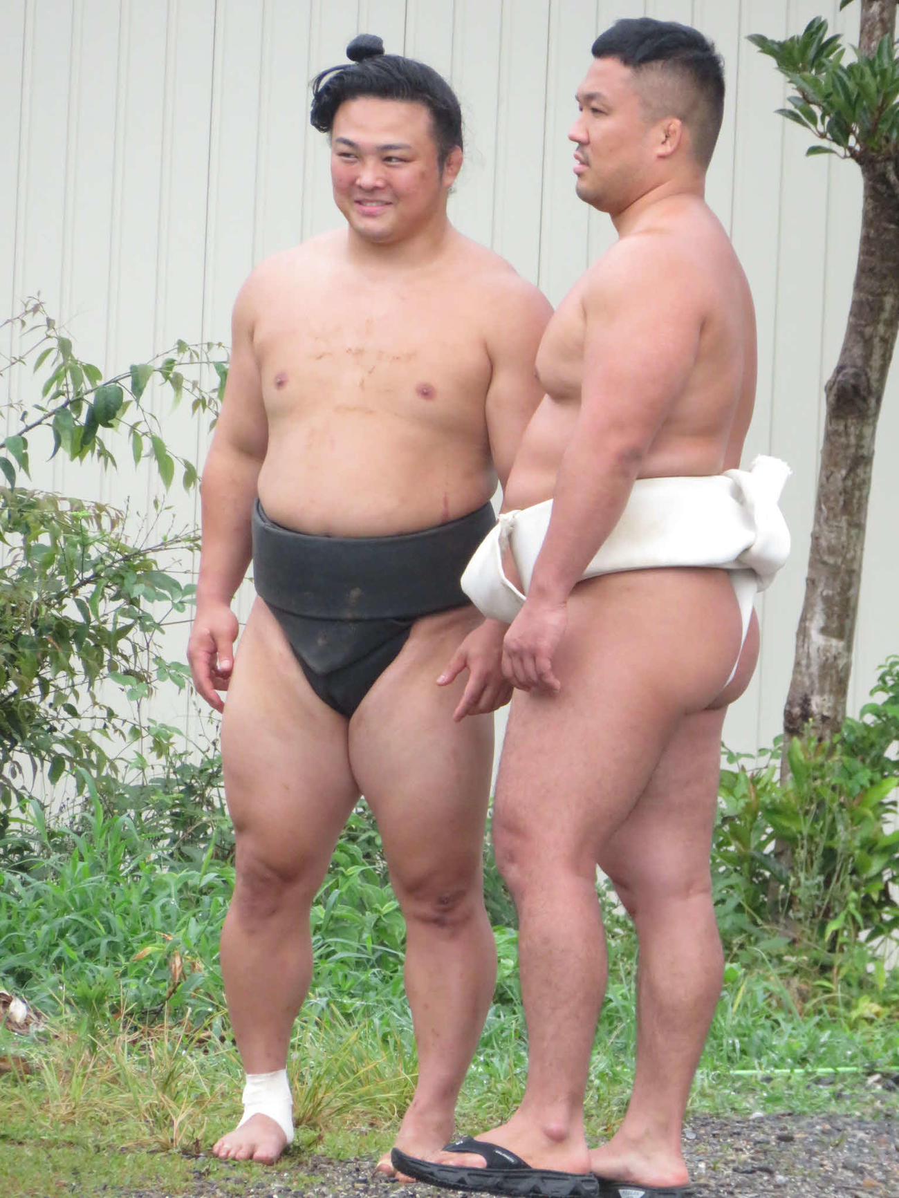 稽古の合間に話し込む炎鵬（左）と間垣親方