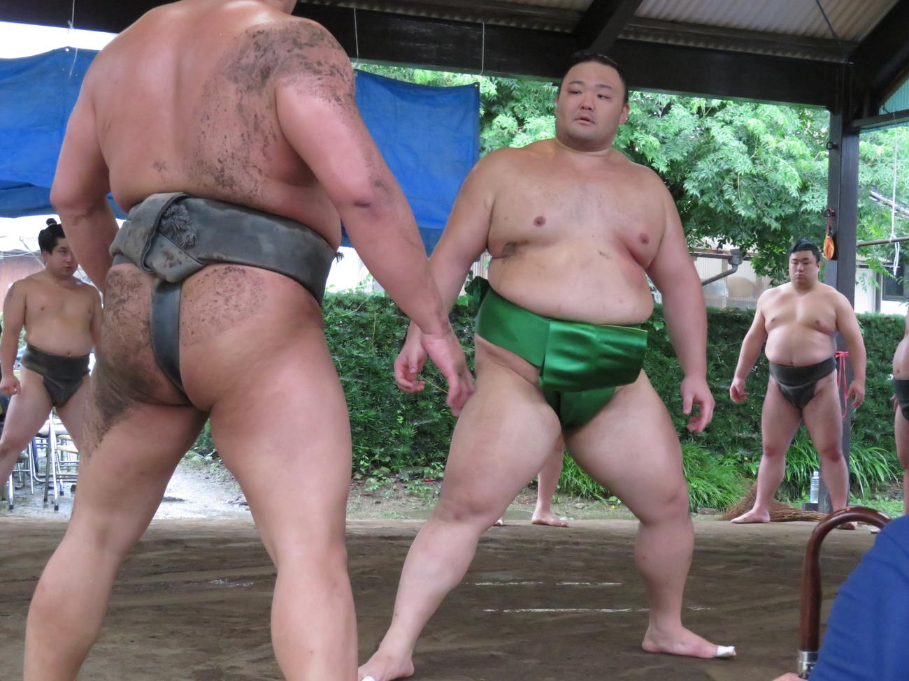 本場所で初めて使用する鮮やかな緑色の締め込みを着けて、ぶつかり稽古で胸を出した朝乃山