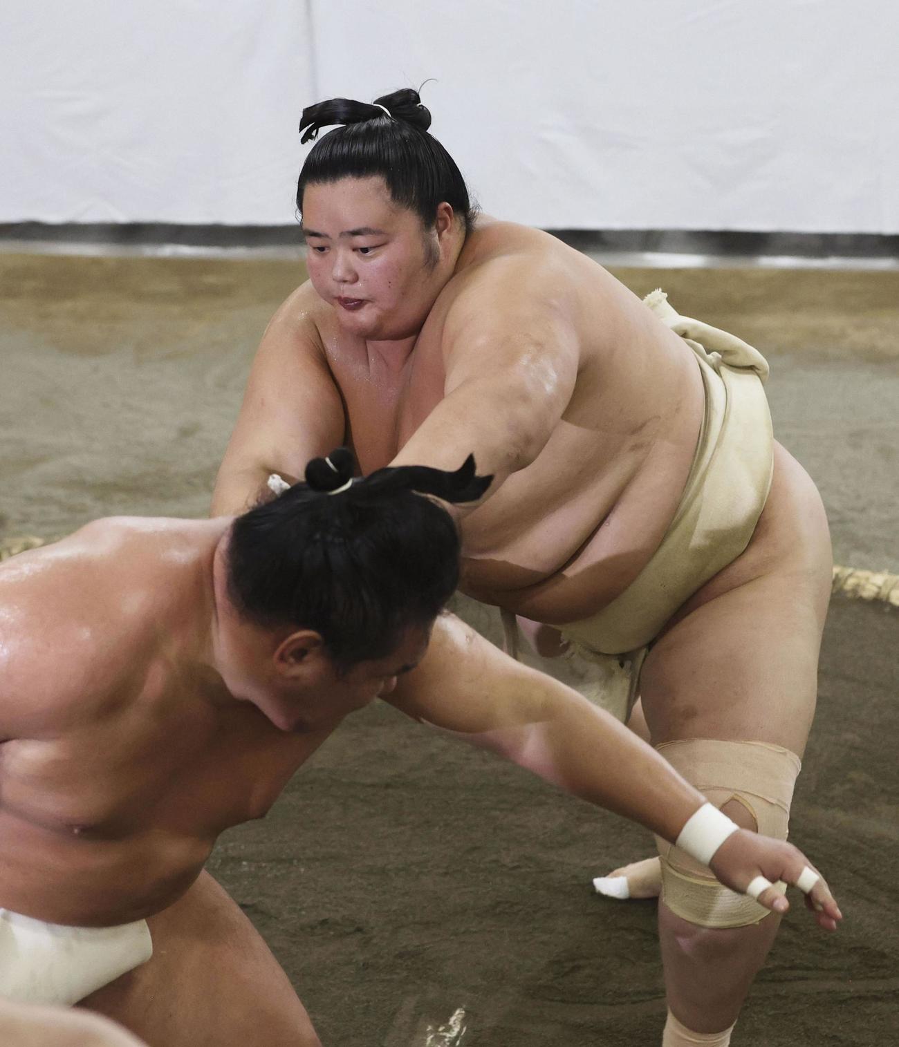 横綱審議委員会の稽古総見で汗を流す琴桜（奥）（代表撮影）