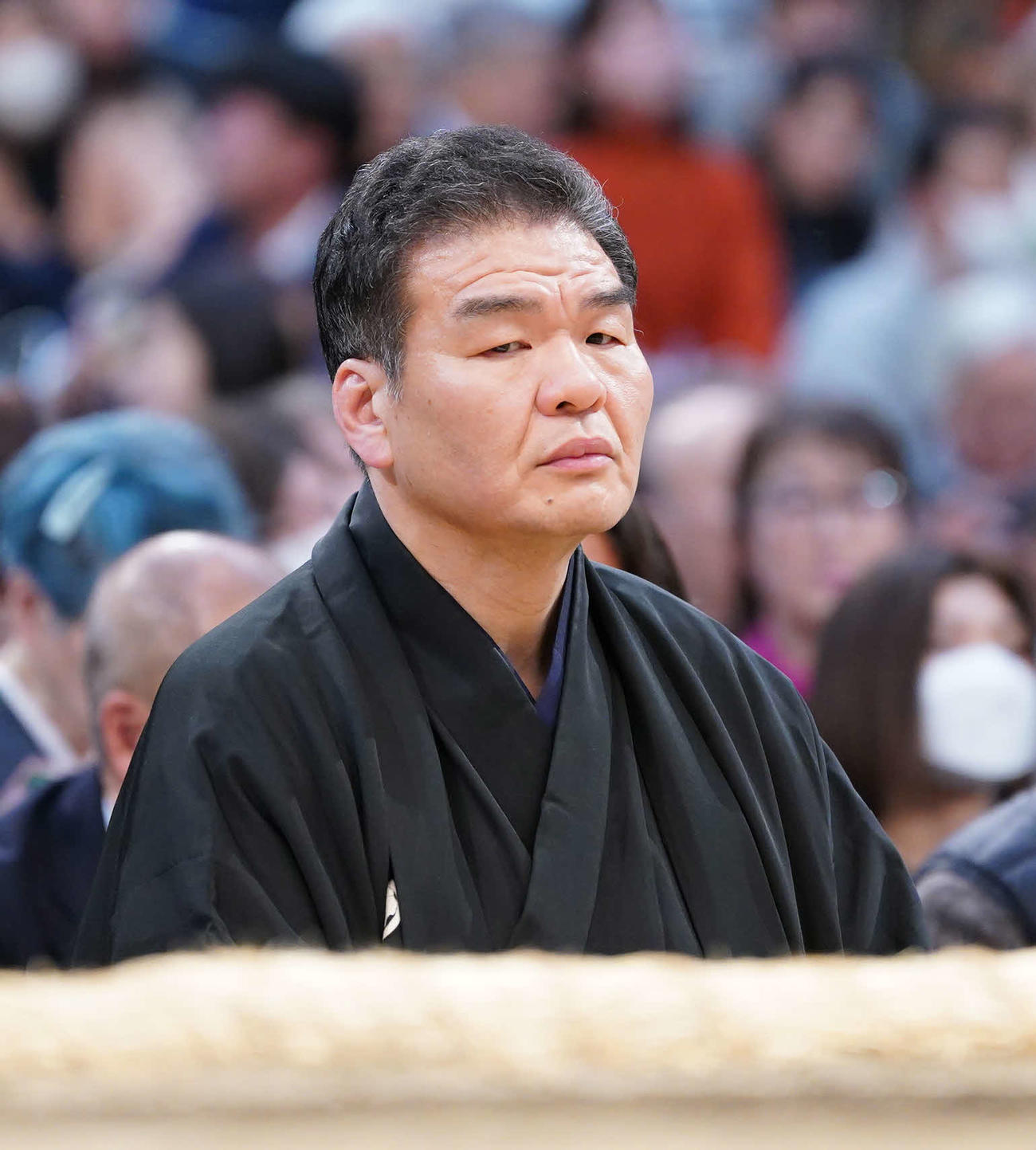 片男波親方（元関脇玉春日）（2024年3月22日撮影）