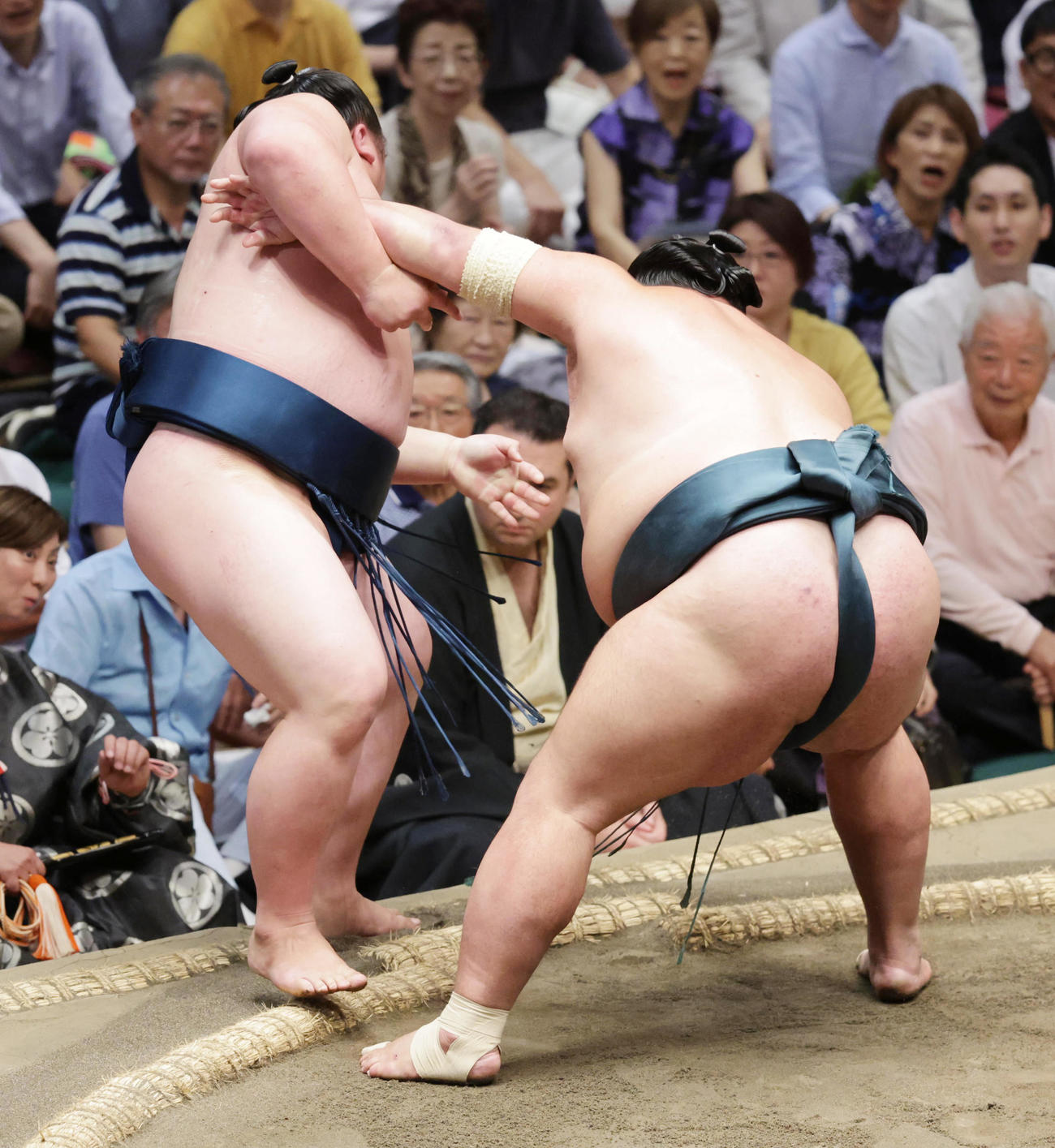 白熊（左）を寄り切りで破った錦木（撮影・野上伸悟）