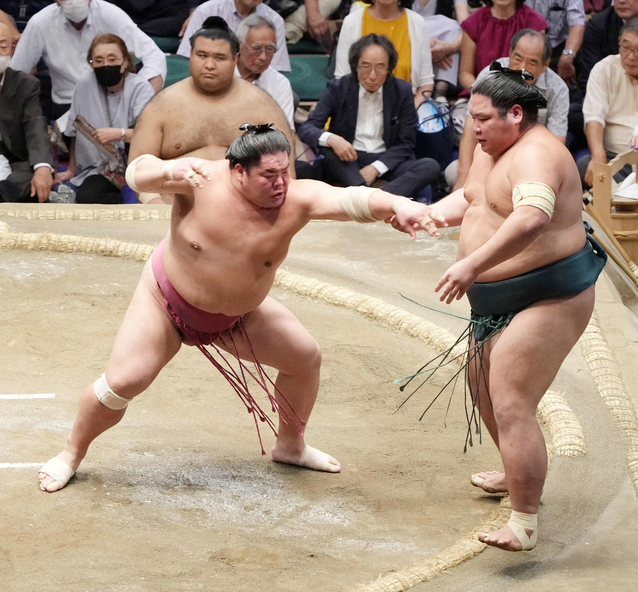 大栄翔（左）に突き出しで敗れる錦木（撮影・小沢裕）