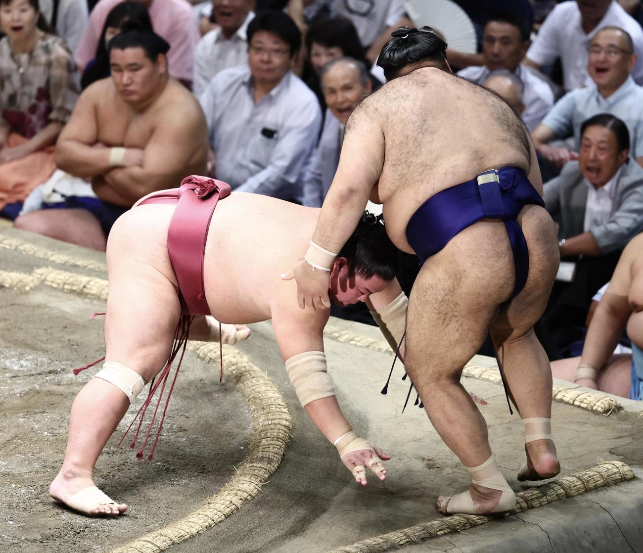大栄翔（左）は高安を押し出しで破る（撮影・河田真司）