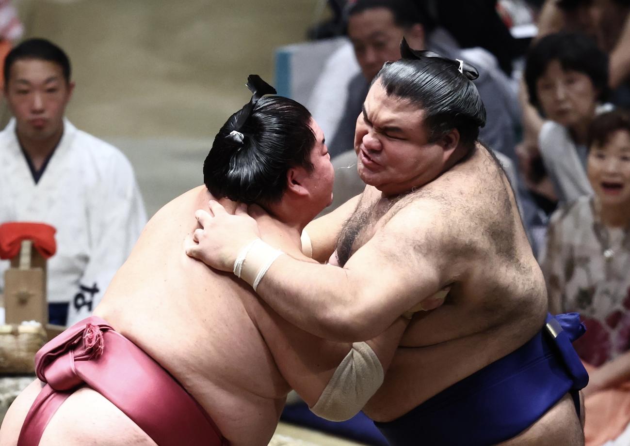 激しく張り合う大栄翔（左）と高安（撮影・河田真司）