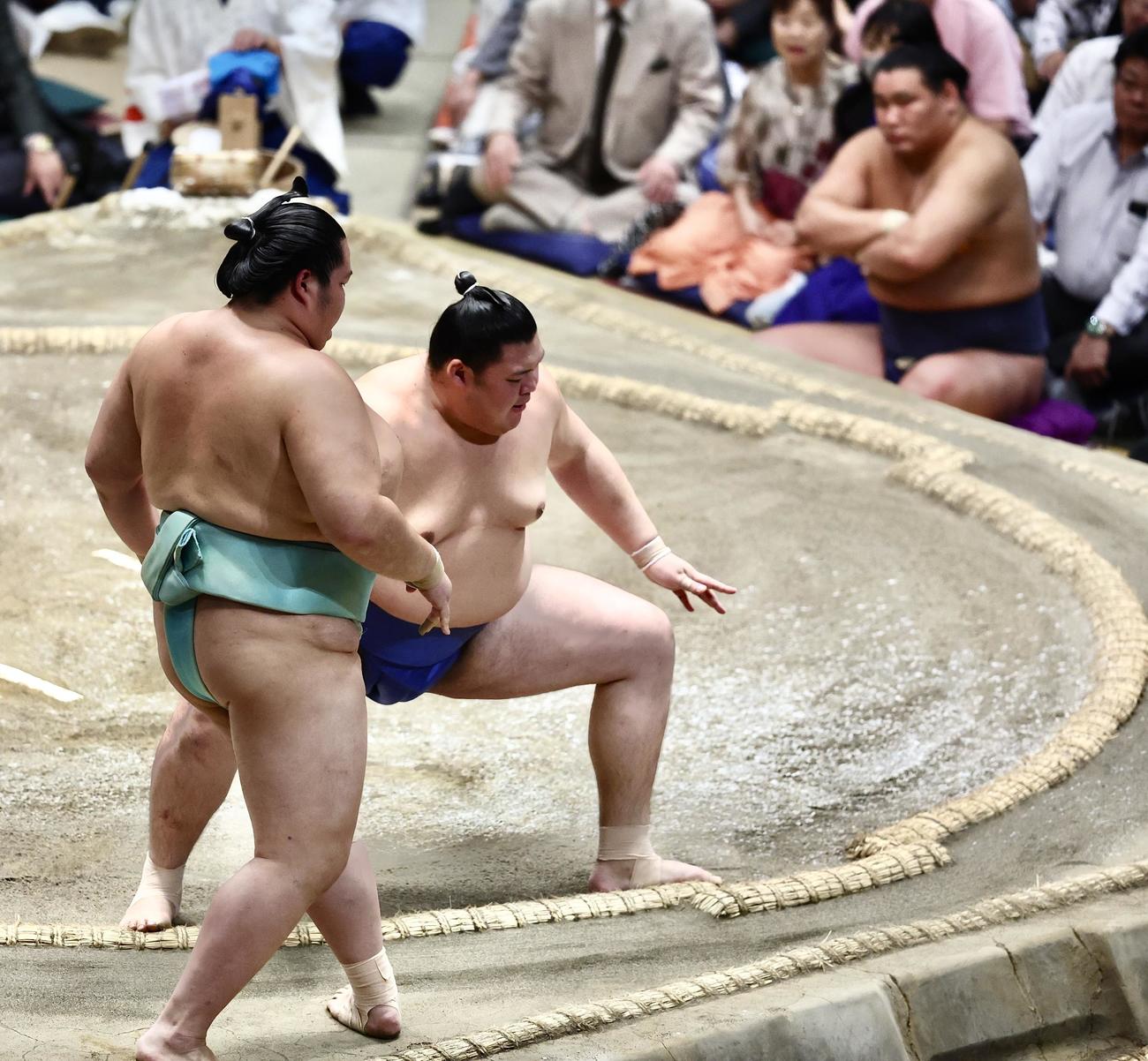 取り直しの一番で、琴桜（左）を寄り切りで破る大の里（撮影・河田真司）