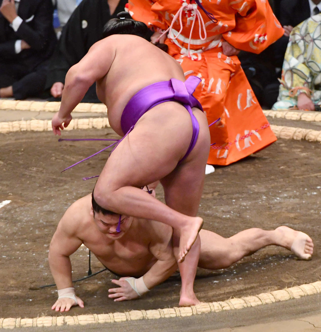 はたき込みで尊富士（上）に敗れた朝紅龍（撮影・岩下翔太）