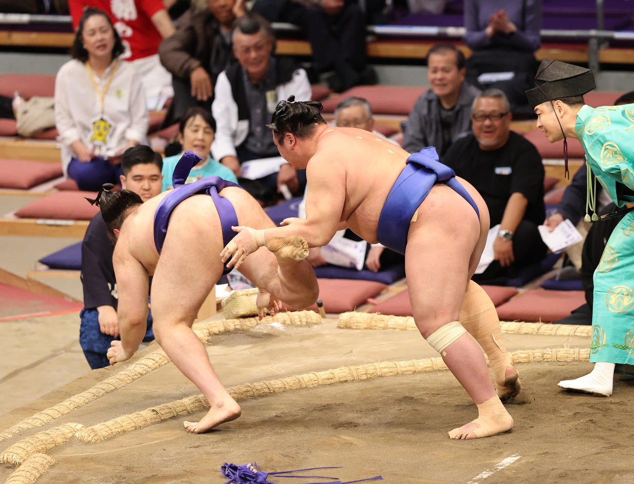 大相撲九州場所　5日目　安青錦を突き落としで破る欧勝海（右）（撮影・梅根麻紀）