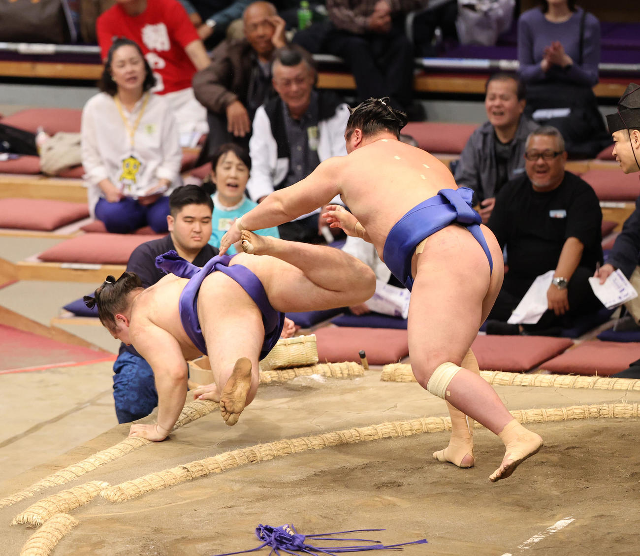 大相撲九州場所　5日目　安青錦を突き落としで破る欧勝海（右）（撮影・梅根麻紀）