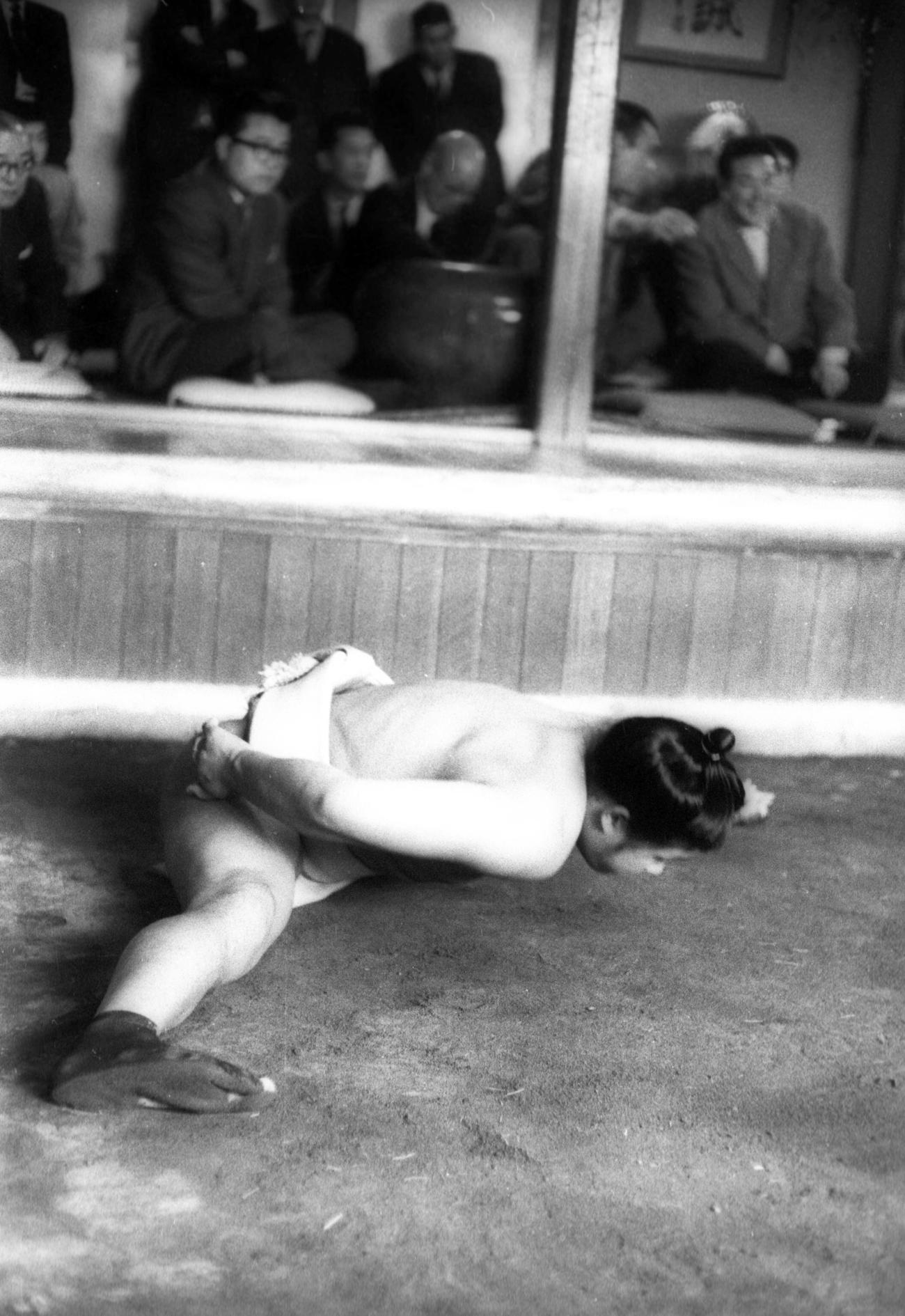 股割りをする新入幕の北の富士（1964年1月8日）