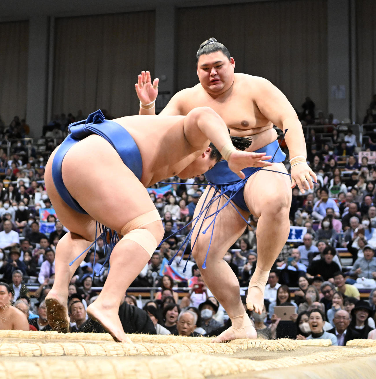 若隆景（左）に押し出しで敗れた大の里（撮影・和賀正仁）