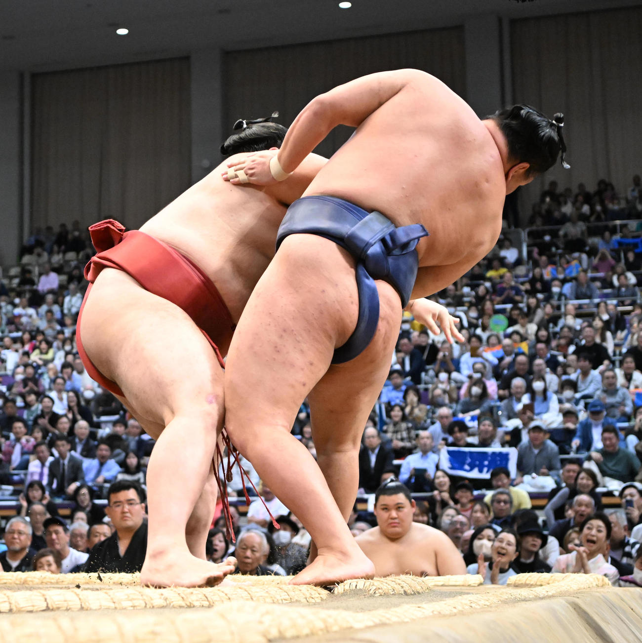 熱海富士（左）に勇み足があり豊昇龍の勝ちとなる（撮影・和賀正仁）
