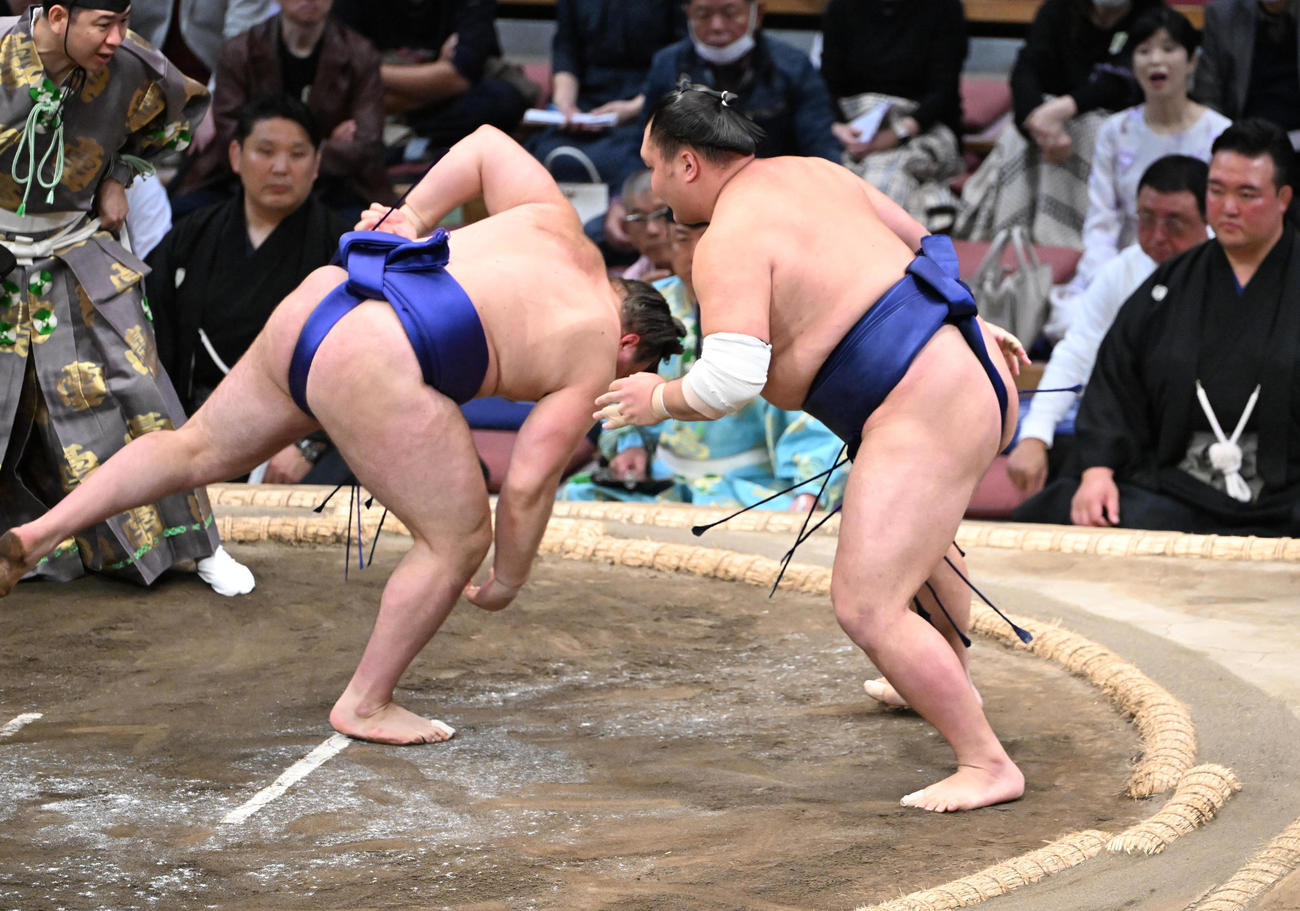 安青錦（左）を突き落としで破る栃大海（撮影・和賀正仁）