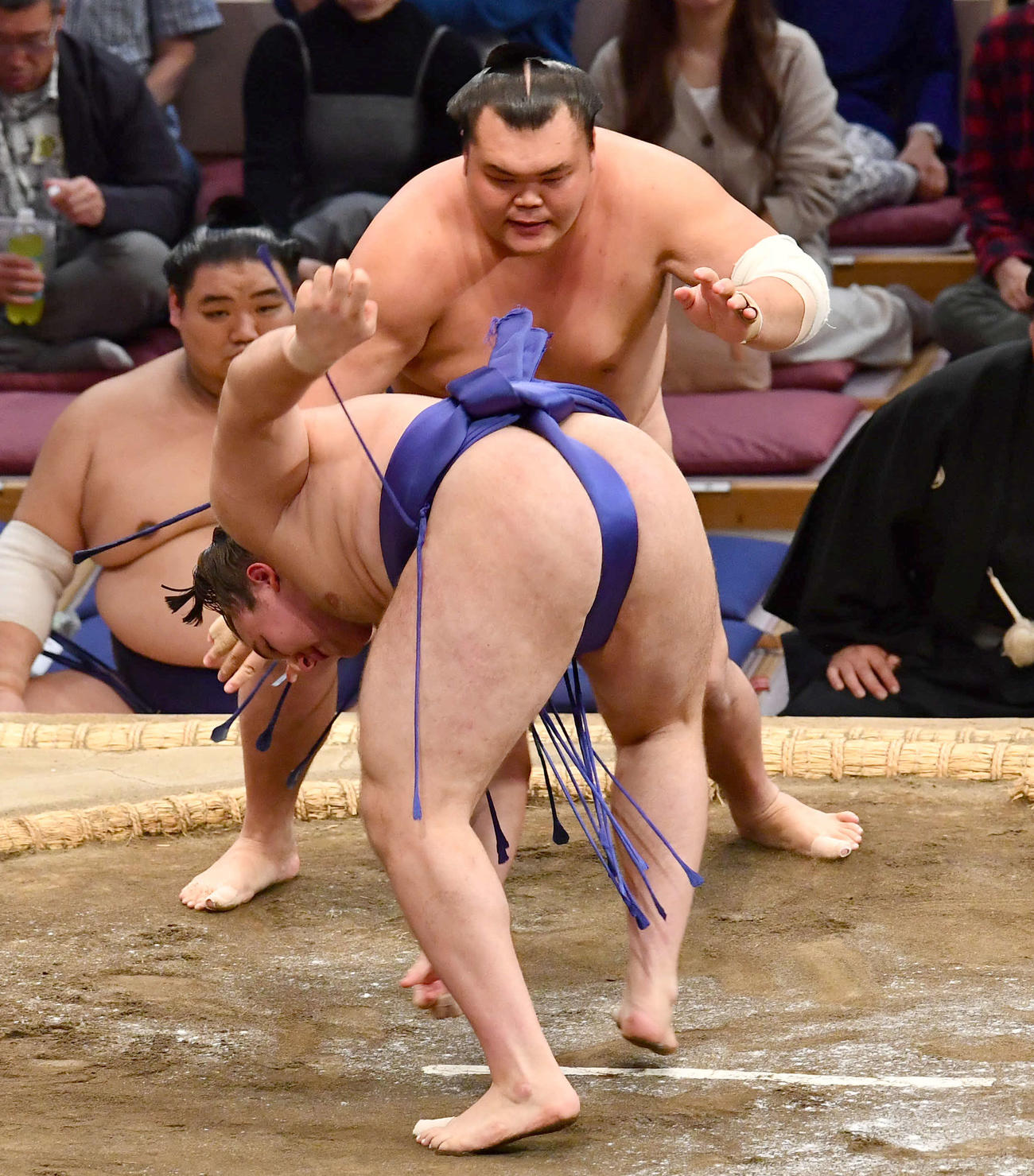 大相撲九州場所7日目　栃大海（奥）は安青錦を突き落としで破る（撮影・岩下翔太）