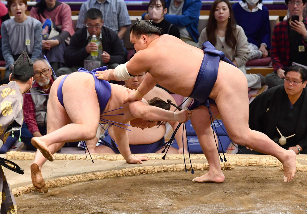 大相撲九州場所7日目　栃大海（右）は安青錦を突き落としで破る（撮影・岩下翔太）