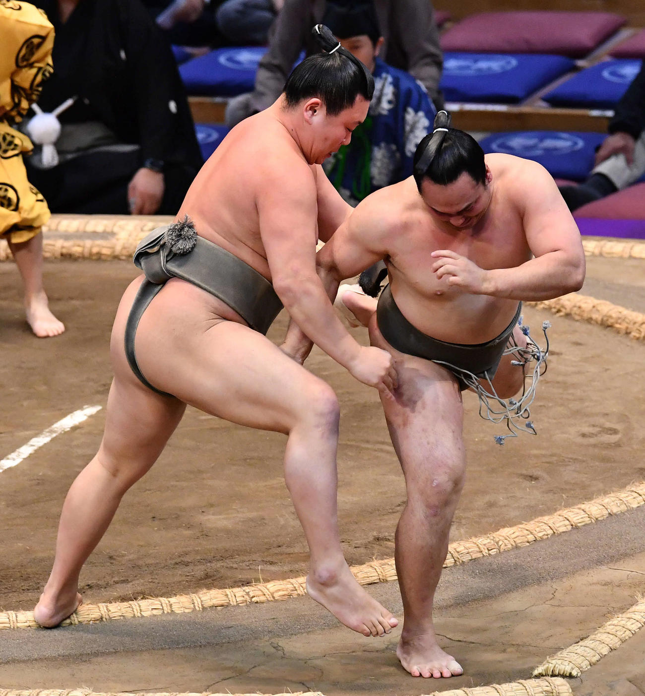 大相撲九州場所8日目　朝乃若（左）は須山をひっかけで破る（撮影・岩下翔太）