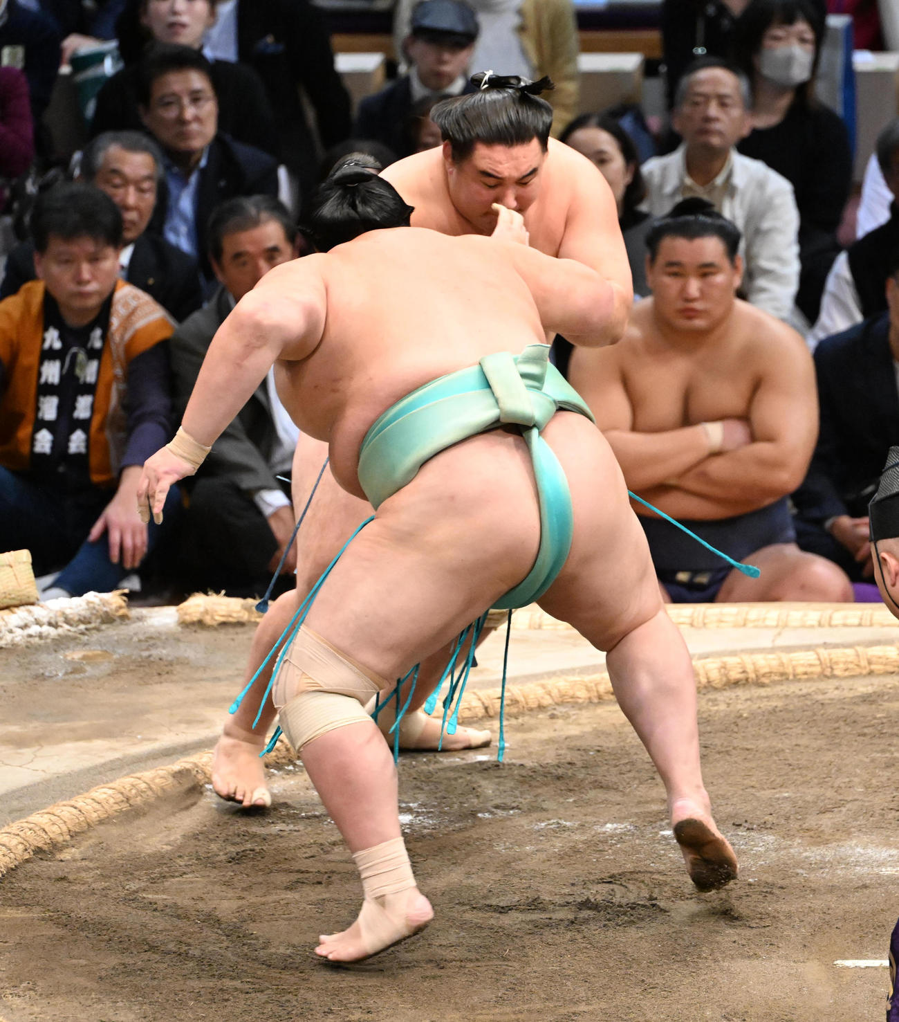 琴桜（左）は押し倒しで欧勝馬を破る（撮影・和賀正仁）
