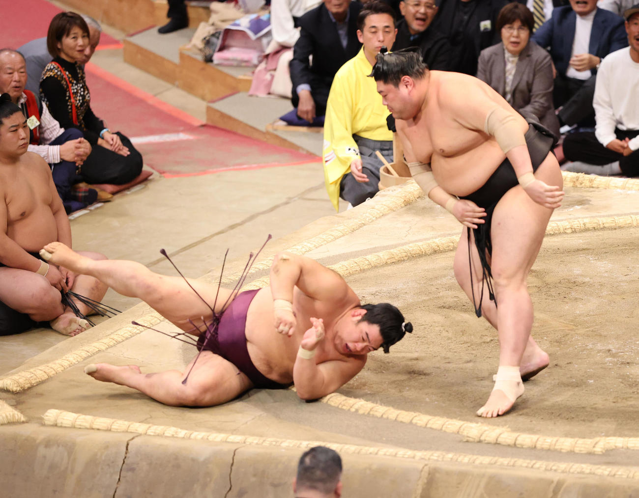 大相撲九州場所　10日目　肩すかしで平戸海を破る阿炎（撮影・梅根麻紀）