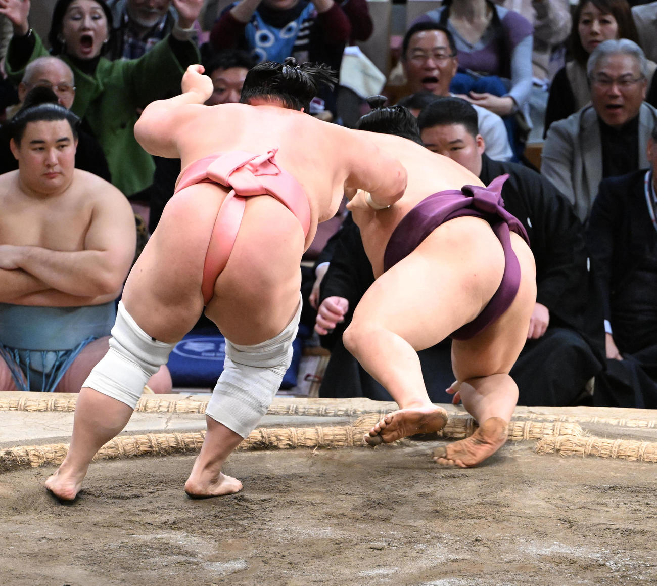 宇良（手前）は押し倒しで平戸海を破る（撮影・和賀正仁）