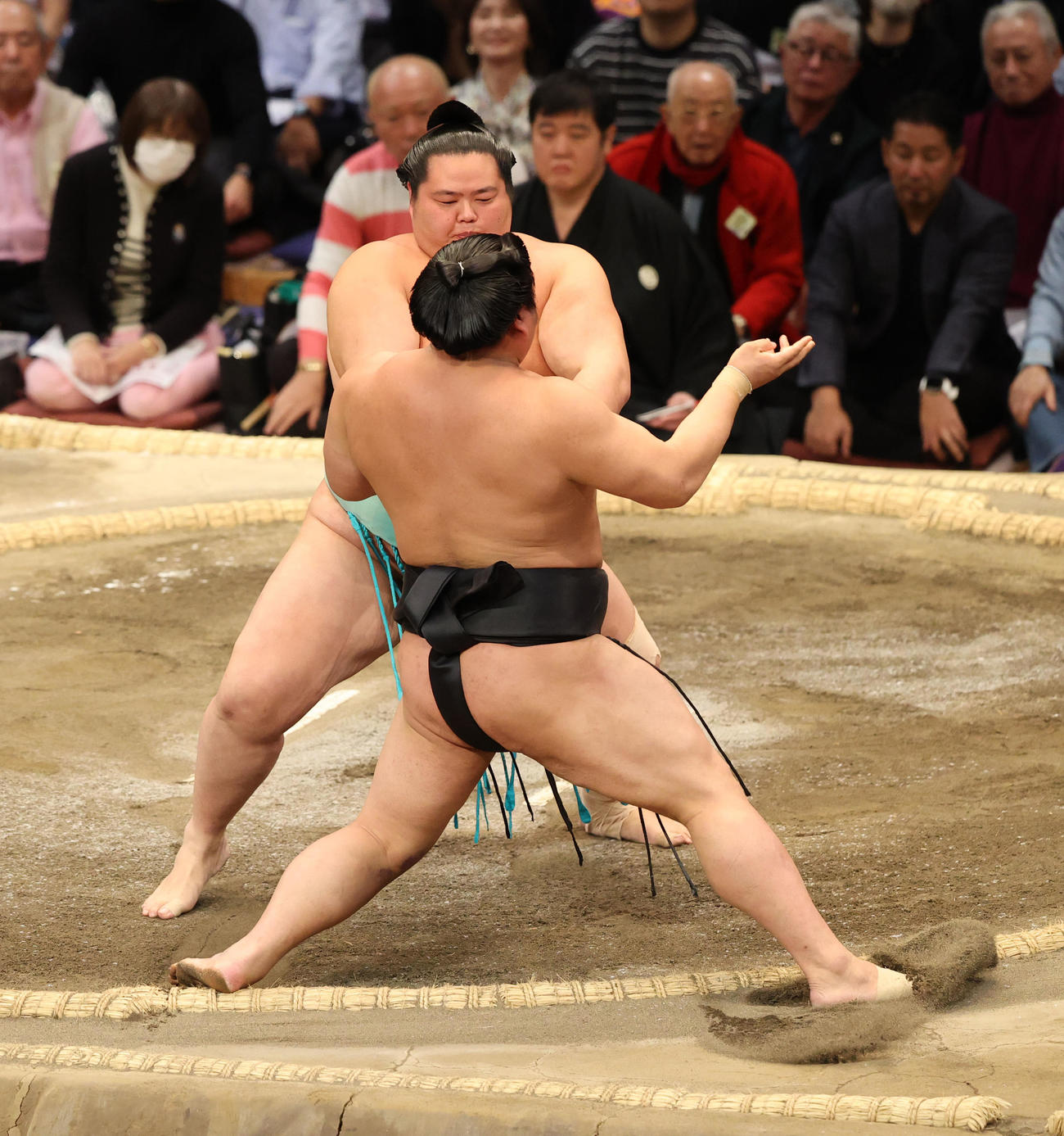大相撲九州場所　11日目　押し出しで若元春を破った琴桜（奥）（撮影・梅根麻紀）