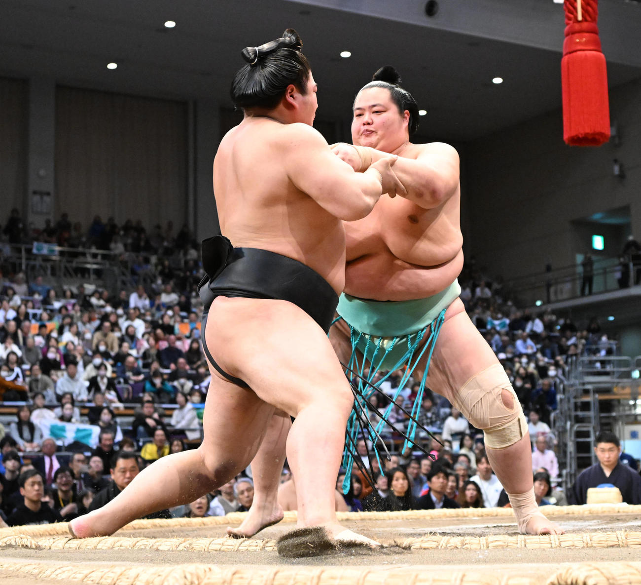 琴桜（奥）は押し出しで若元春を破る（撮影・和賀正仁）