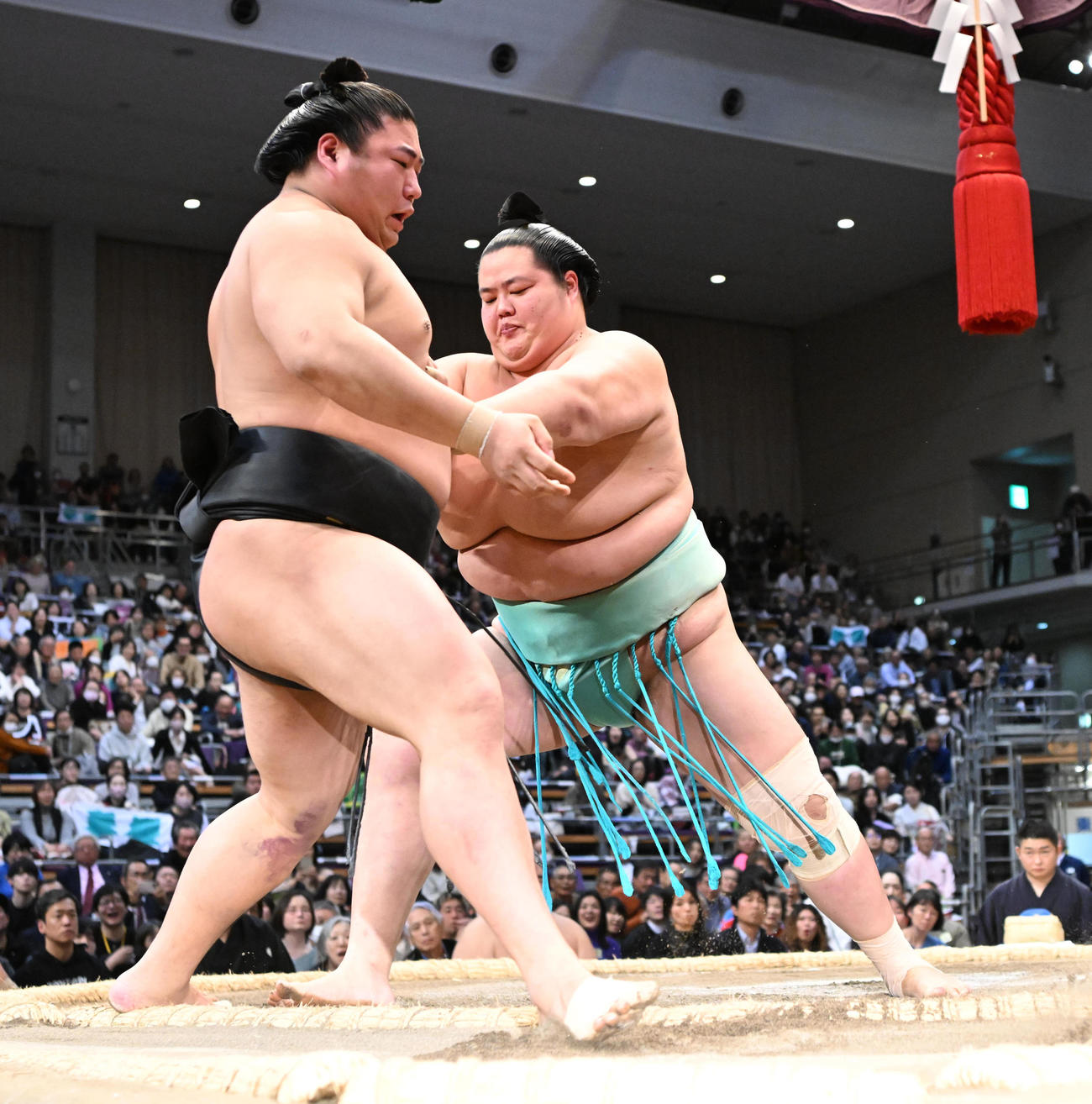 琴桜（奥）は押し出しで若元春を破る（撮影・和賀正仁）
