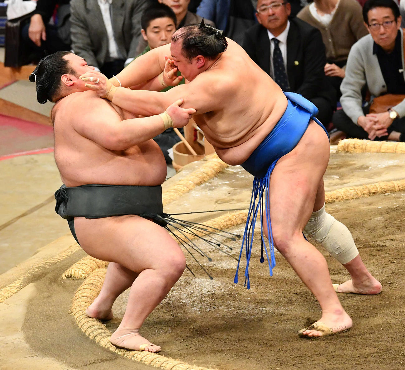 大相撲九州場所12日目　北勝富士（右）は武将山を押し倒しで破る（撮影・岩下翔太）