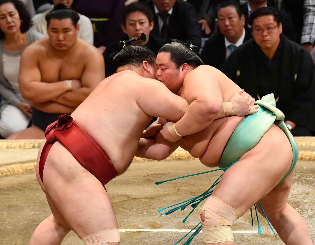 大相撲九州場所13日目　土俵下から豊昇龍（左奥）が見つめる前で隆の勝（左）と組み合う琴桜（撮影・岩下翔太）