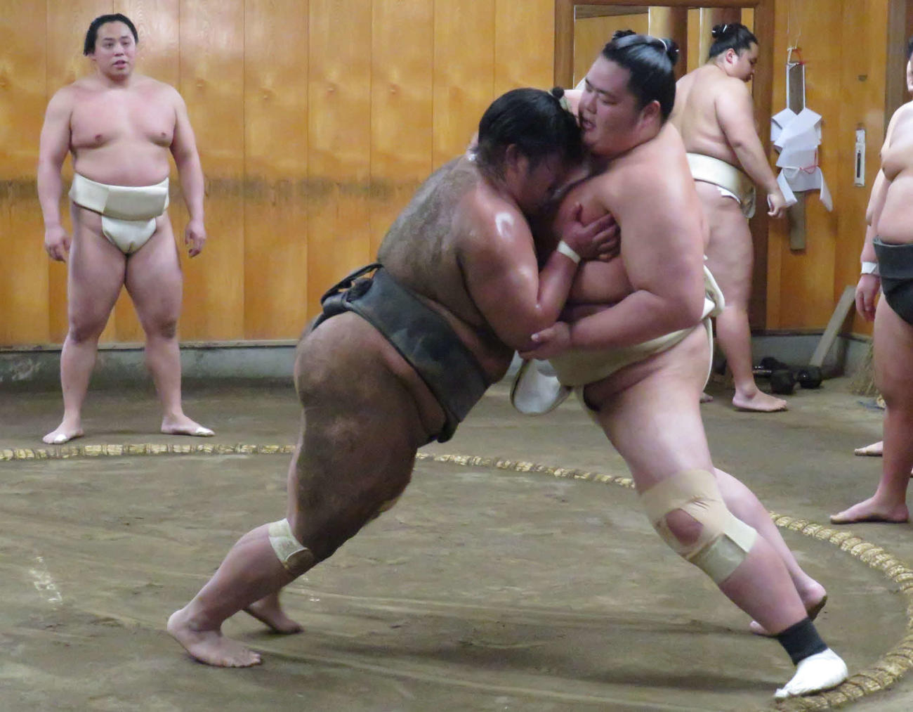 今年最後の稽古で若い衆に胸を出した琴桜（手前右）