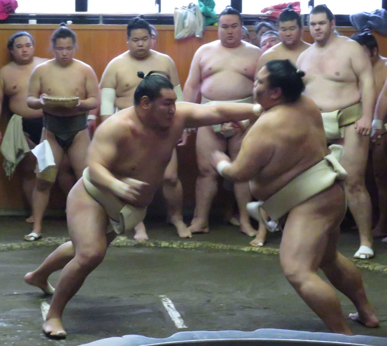 出羽海一門連合の稽古で、御嶽海（手前右）を相手に突いて前に出る豊昇龍（同左）