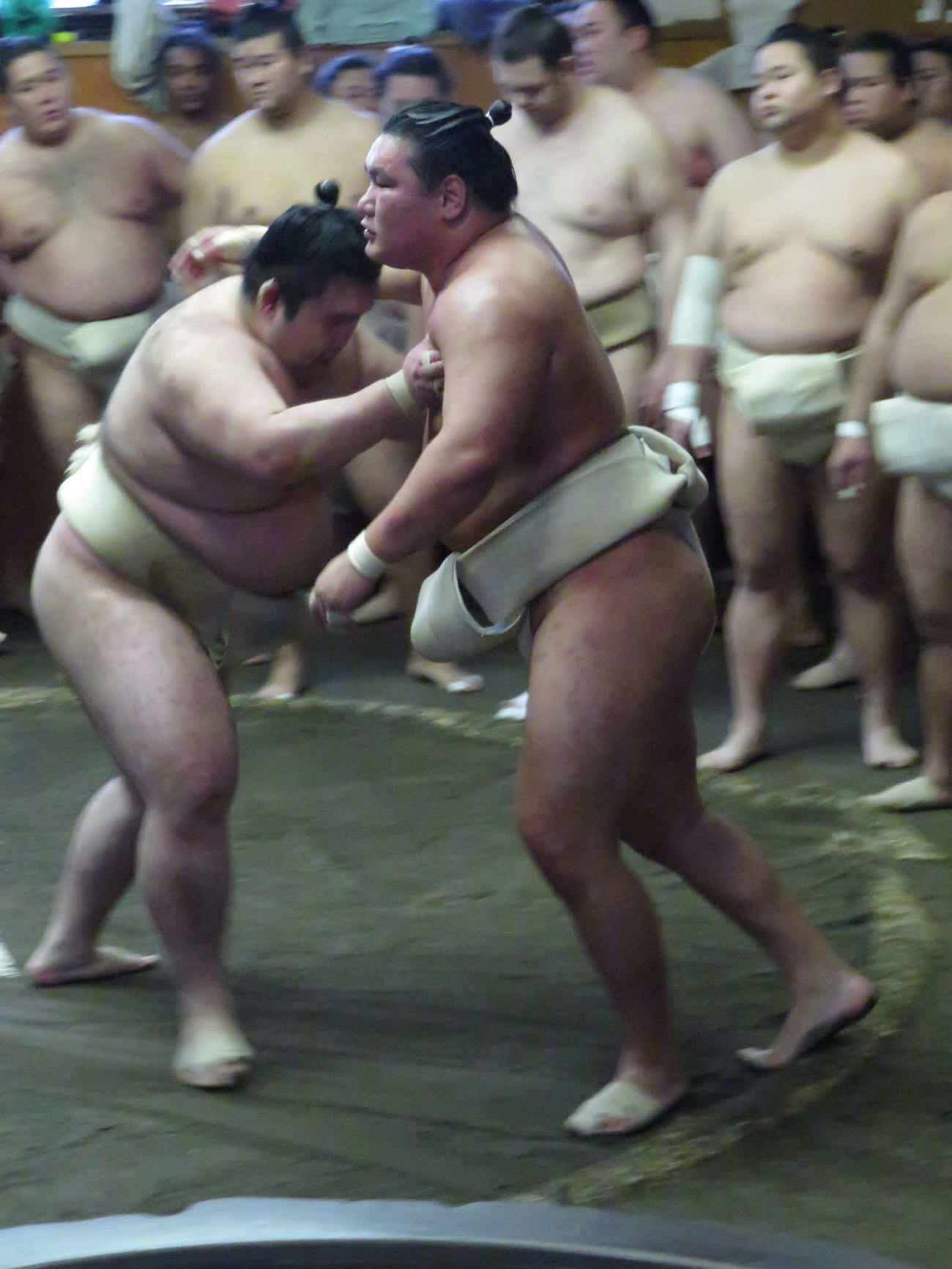出羽海一門の連合稽古で、豪ノ山（手前左）にぶつかり稽古で胸を出した豊昇龍（同右）