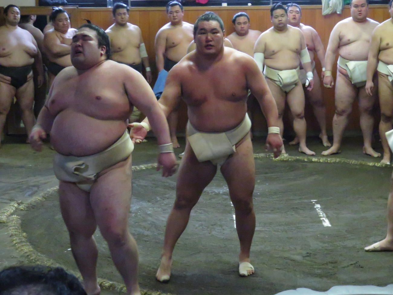 出羽海一門連合の稽古で、豪ノ山（手前左）を送り出した豊昇龍（同右）