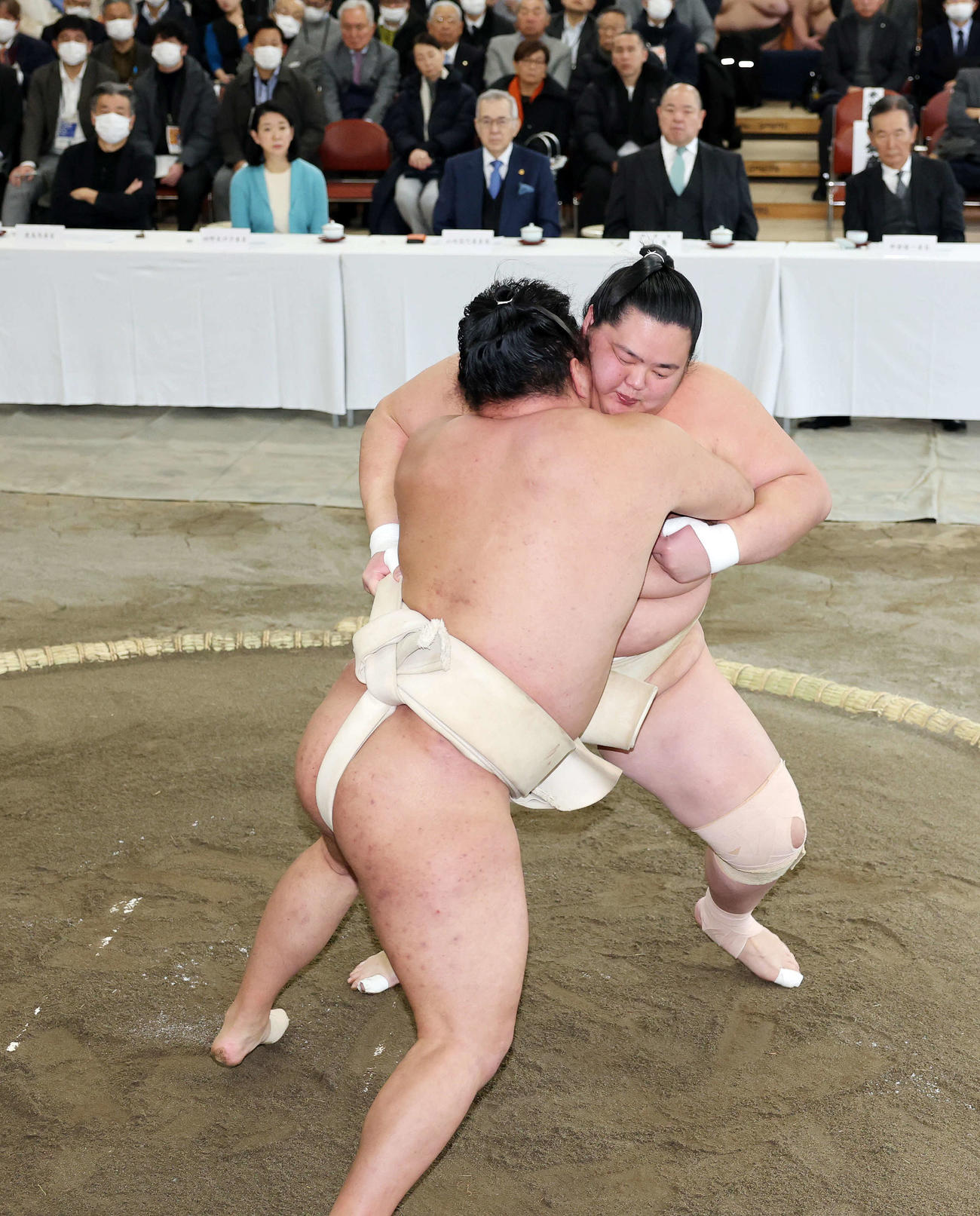 横綱審議委員会稽古総見で豊昇龍（手前）と取組を行う琴桜（撮影・鈴木正人）