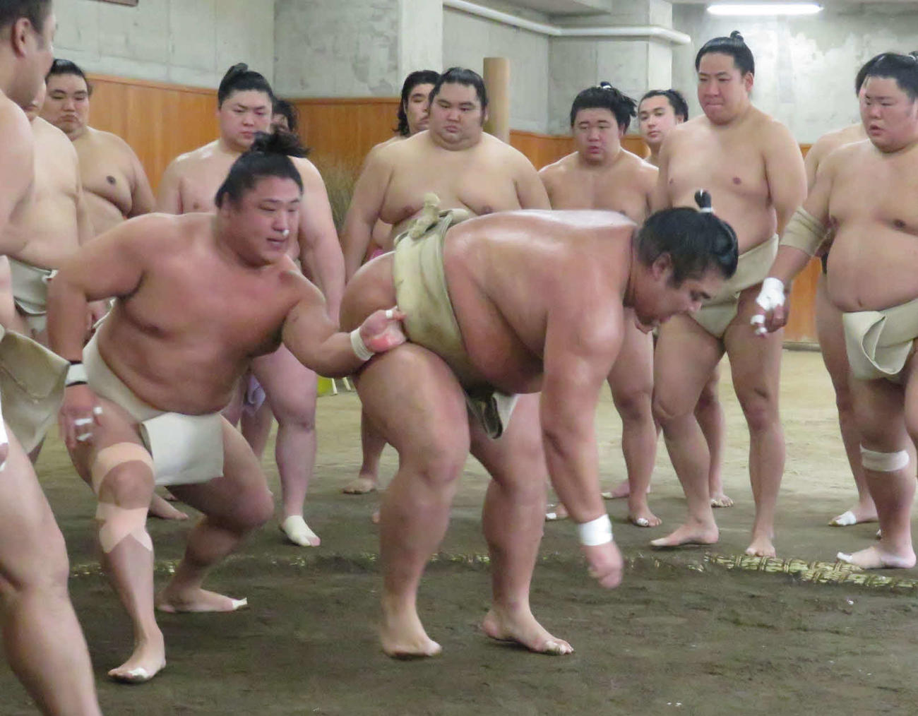 時津風一門の連合稽古で、一門外から参加した湘南乃海（手前右）を出し投げで崩した若隆景（同左）