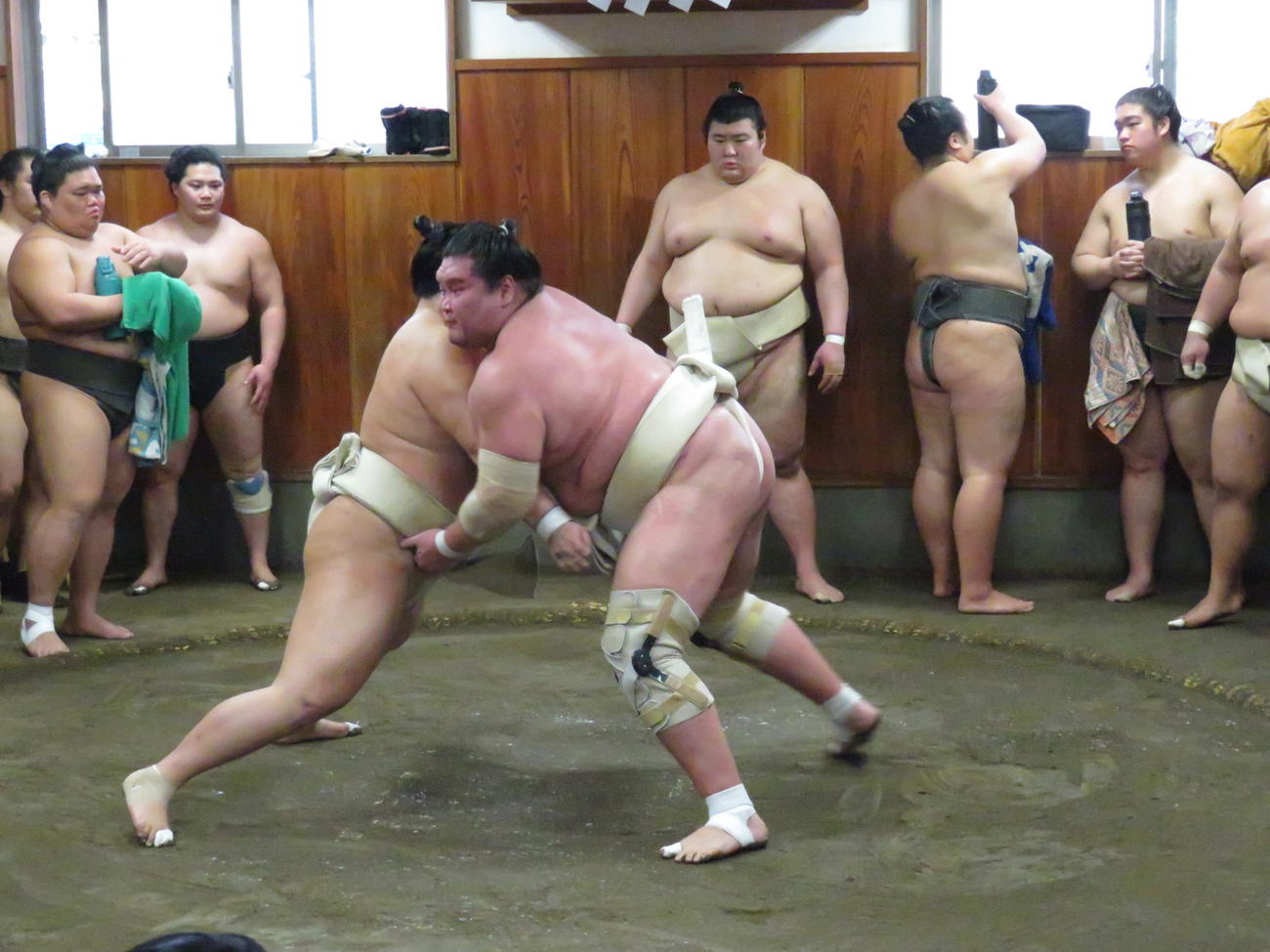 錦富士（手前左）と相撲を取る稽古を繰り返した照ノ富士（同右）