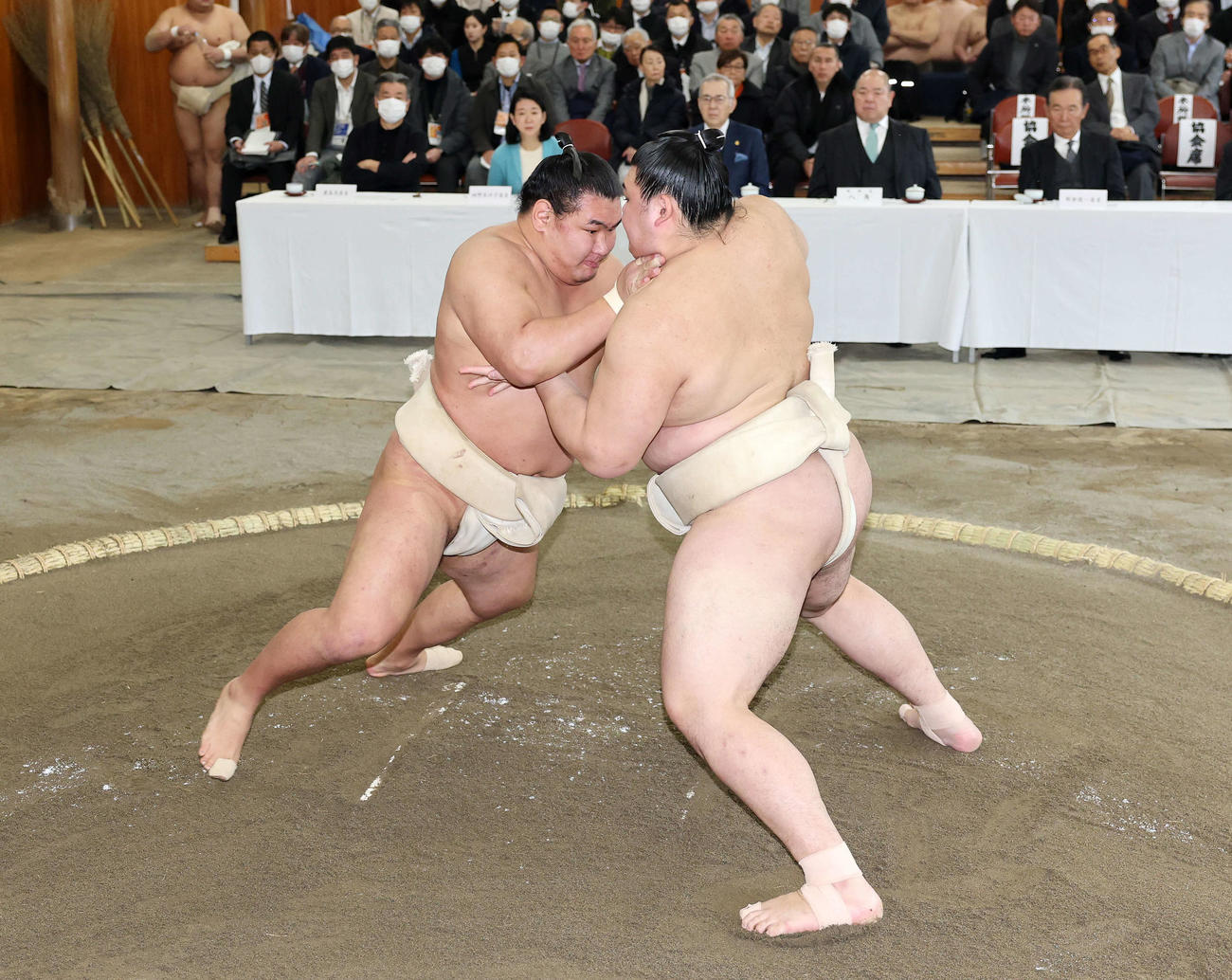 横綱審議委員会稽古総見で大の里（右）と取組を行う豊昇龍（2025年1月6日撮影）
