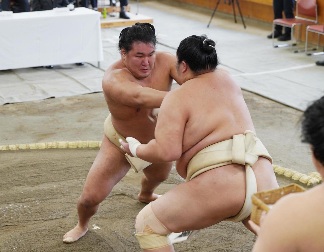 横綱審議委員会の稽古総見で汗を流す豊昇龍（2025年1月6日撮影）