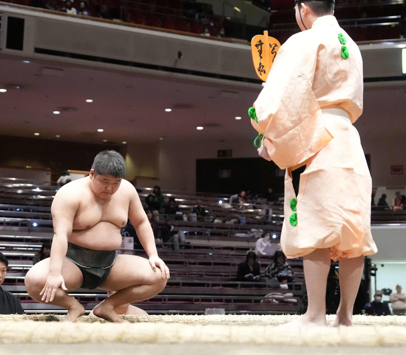 デビュー戦を白星で飾り勝ち名乗りを受ける碇潟（撮影・小沢裕）