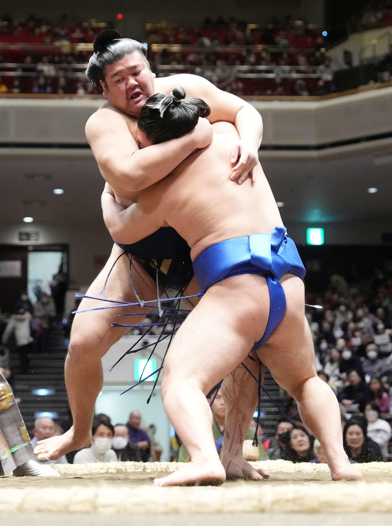若碇（右）に土俵際へ攻め込まれる羽出山（撮影・小沢裕）