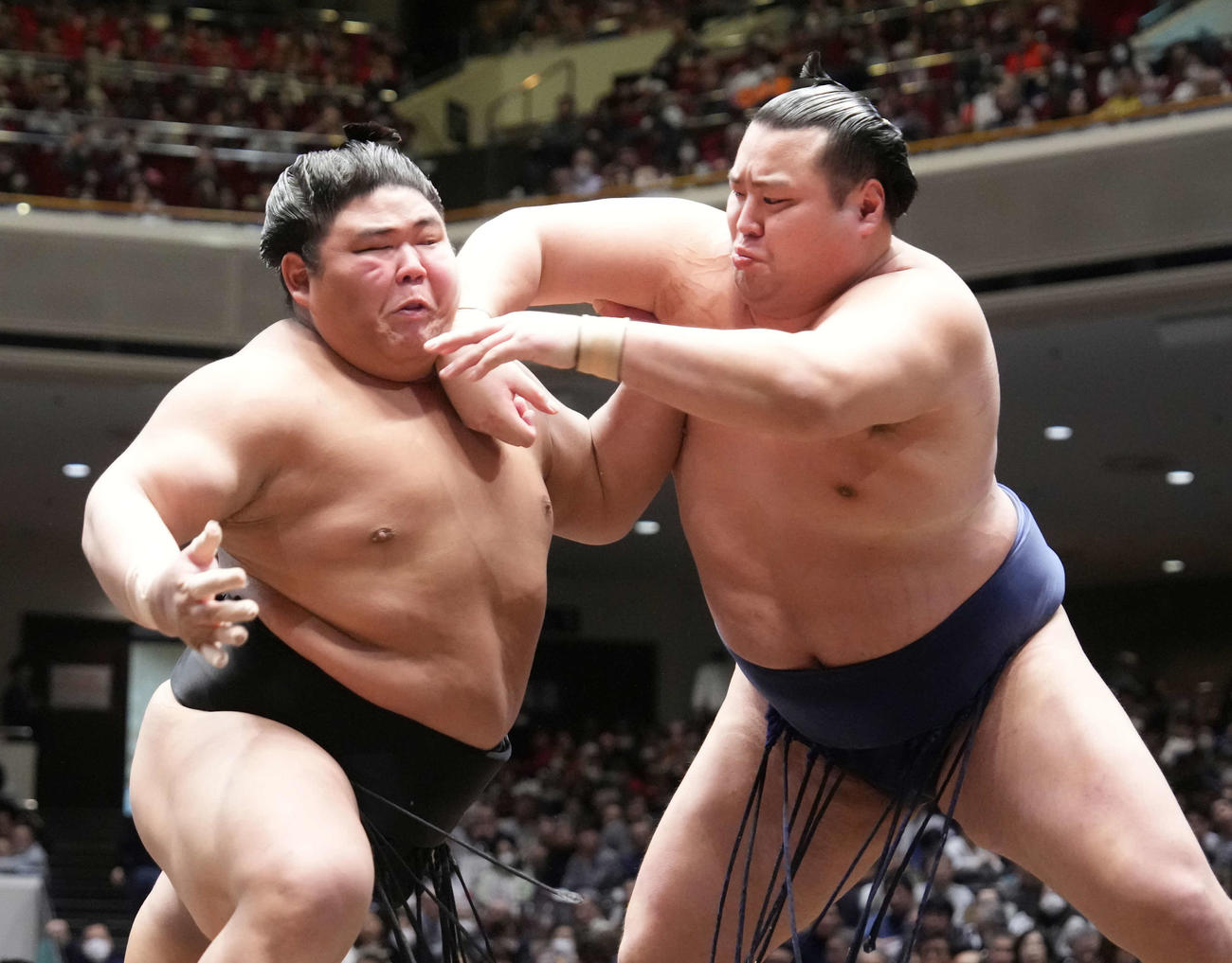 北の若（右）の攻めをこらえる伯桜鵬（撮影・小沢裕）